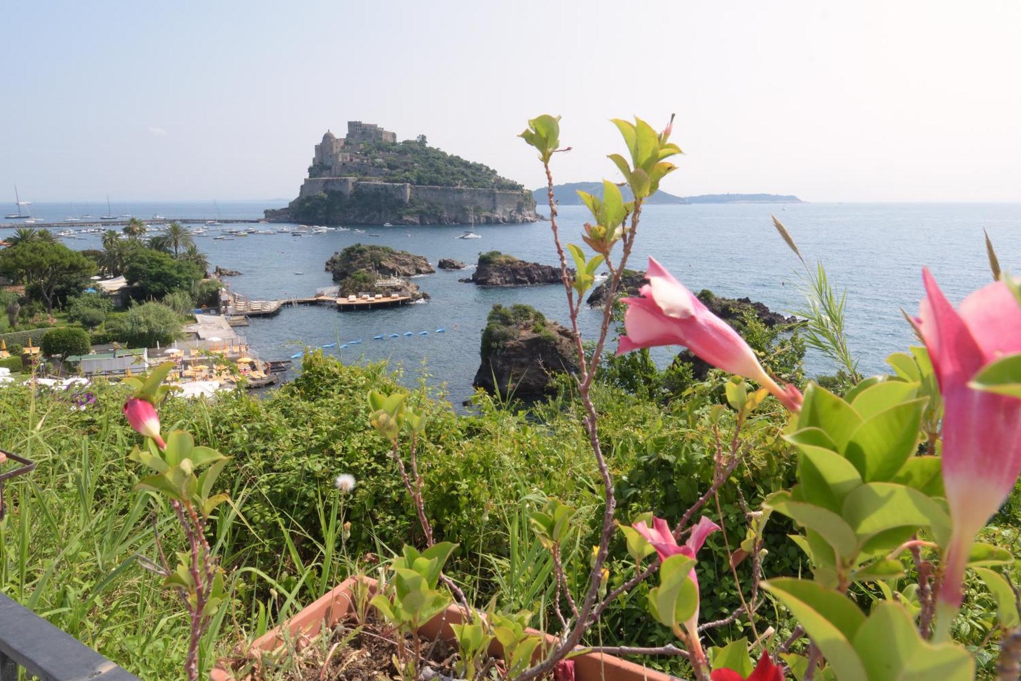 Hotel La Ninfea Ischia Eksteriør bilde